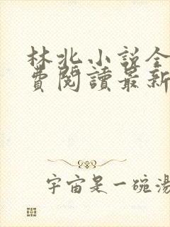 林北小说全文免费阅读最新章节