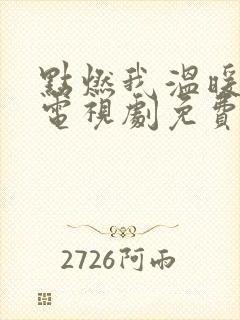 点燃我温暖你 电视剧免费看