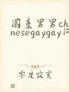 国产男男chinesegaygay网站