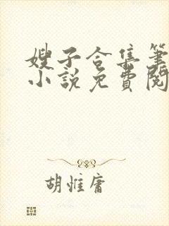 嫂子合集笔趣阁小说免费阅读
