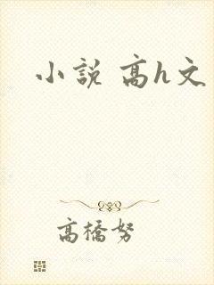 小说 高h文
