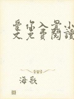 爱你入骨小说全文免费阅读封面