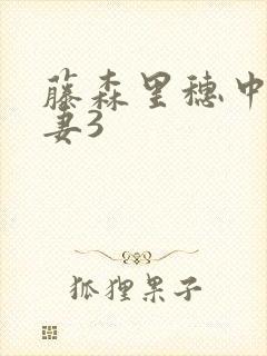 藤森里穗中字人妻3