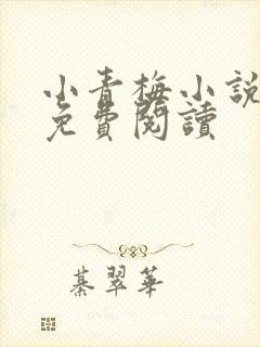 小青梅小说全文免费阅读封面
