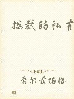 总裁的私有宝贝