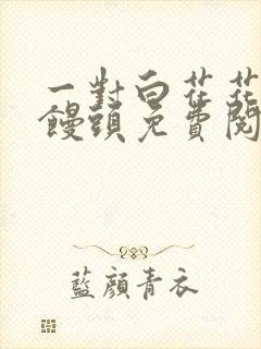 一对白花花的大馒头免费阅读