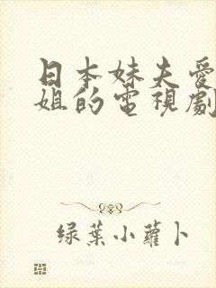 日本妹夫爱上姐姐的电视剧