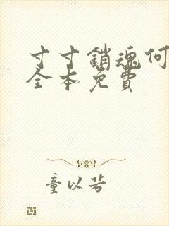 寸寸销魂何生祥全本免费封面