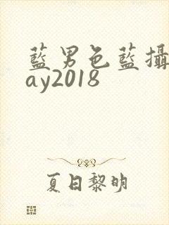 蓝男色蓝摄摄gay2018