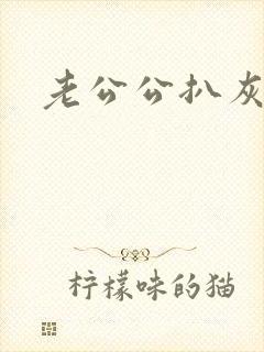 老公公扒灰小说