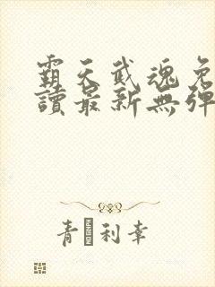 霸天武魂免费阅读最新无弹窗