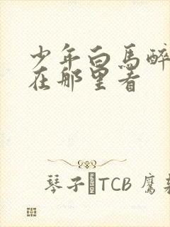 少年白马醉春风在那里看