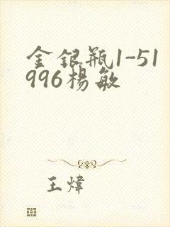 金银瓶1-51996杨敏封面