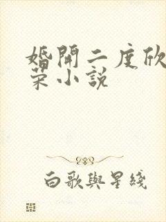 婚开二度欣欣向荣小说