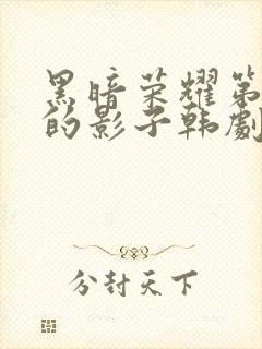 黑暗荣耀第二季的影子韩剧免费观看