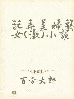 玩弄美妇系列熟女(激)小说