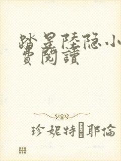 踏星陆隐小说免费阅读