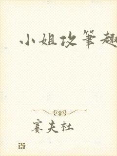 小姐攻笔趣阁封面