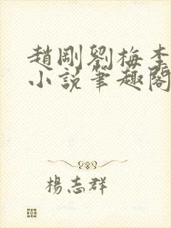 赵刚刘梅李晓雅小说笔趣阁