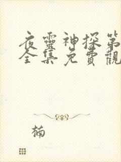 夜灵神探第一季全集免费观看高清封面