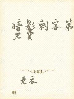 暗影刺客第9季免费