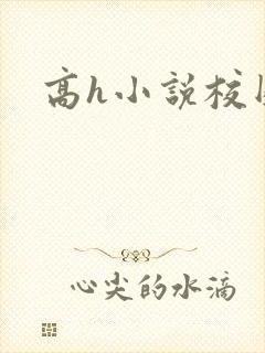 高h小说校园