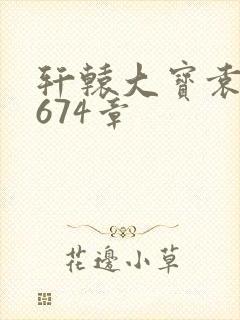 轩辕大宝袁雪妃674章