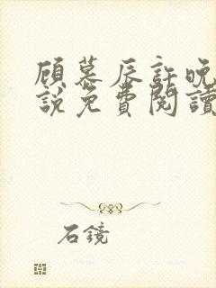 顾慕辰许晚音小说免费阅读最新章节