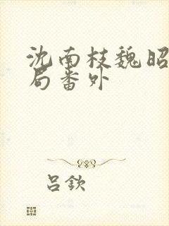 沈南枝魏昭大结局番外