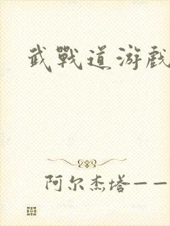 武战道游戏