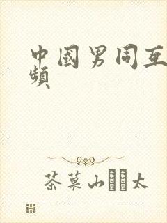 中国男同互操视频