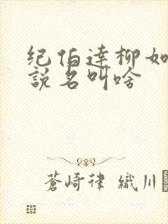 纪伯达柳如烟小说名叫啥