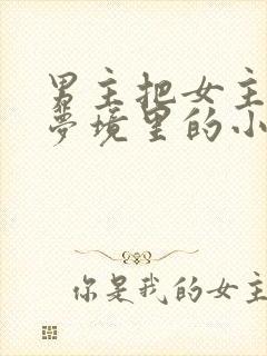 男主把女主拖进梦境里的小说封面