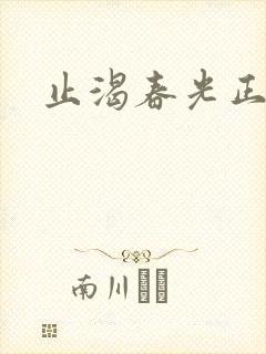 止渴春光正好封面