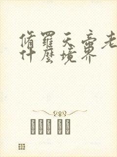 修罗天帝老爷子什么境界