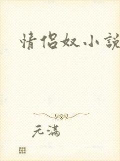 情侣奴小说封面