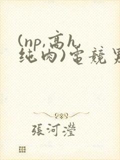 (np,高h,纯肉)电竞男男