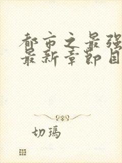 都市之最强狂兵最新章节目录