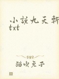 小说九天斩神诀txt