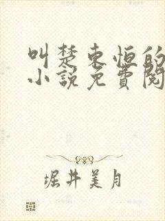 叫楚东恒的官场小说免费阅读