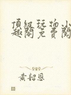 顶级玩物小说笔趣阁免费阅读