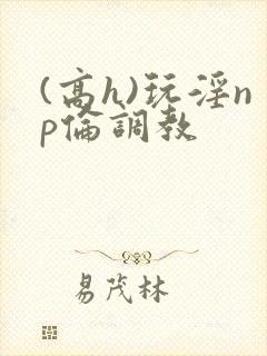 (高h)玩淫np伦调教