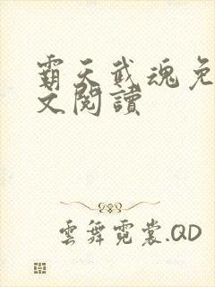 霸天武魂免费全文阅读