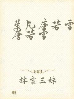 叶凡唐若雪叶凡唐若雪