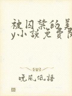 被囚禁的美人by小说免费阅读封面