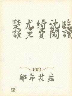 楚尤绮沈临砚小说免费阅读最新章节封面