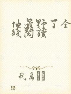 他最野了全文在线阅读封面