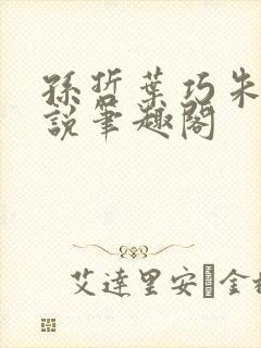 孙哲叶巧朱颜小说笔趣阁