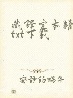 藏锋完本精校版txt下载封面