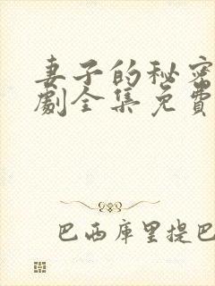 妻子的秘密电视剧全集免费